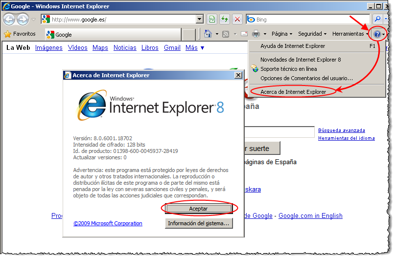 Comprobación Internet Explorer 8