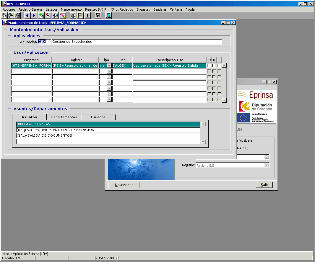Imagen que muestra el mantenimientos de usos de la aplicacion GEX en RES