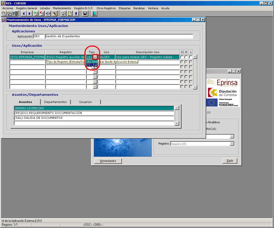 Imagen que muestra la seleccion de tipo de registro de la ventana de mantenimiento de usos de RES