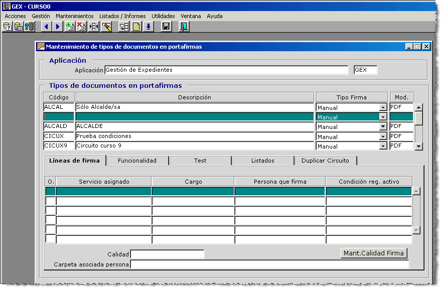 Imagen que muestra la inserción de un registro en la ventana de mantenimiento de tipos de documentos en portafirmas